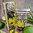 Narcissus Lime - Creme de mãos Kew Gardens 75ml